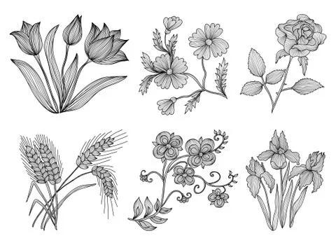 Decorative flowers, design element, decoration for invitations, cards, banners Stock Illustration