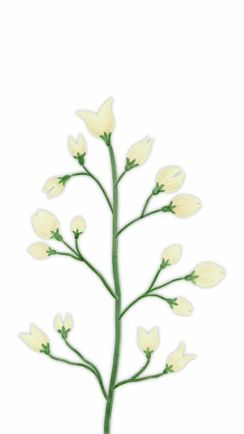 Decorative flowers Stock Footage 332201275