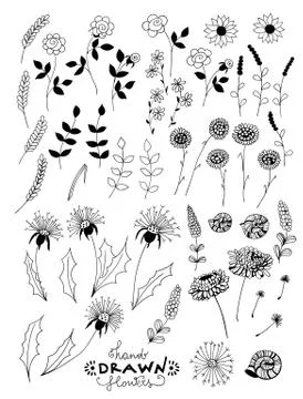 Decorative flowers Stock Illustration