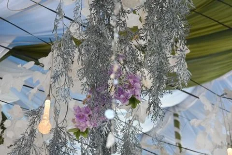 Decorative flowers Stock Photos