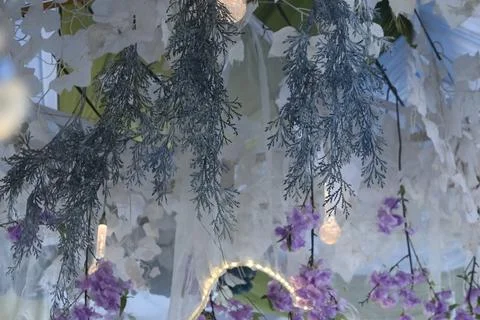 Decorative flowers Stock Photos