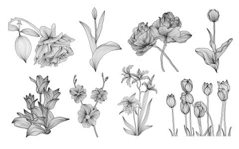 Decorative flowers set Stock Illustration