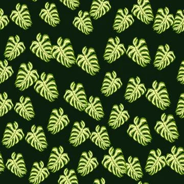 Decorative foliage seamless pattern with random palm leaf monstera elements.  Illustrazione stock