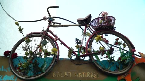 Decorative Video stock 169656229