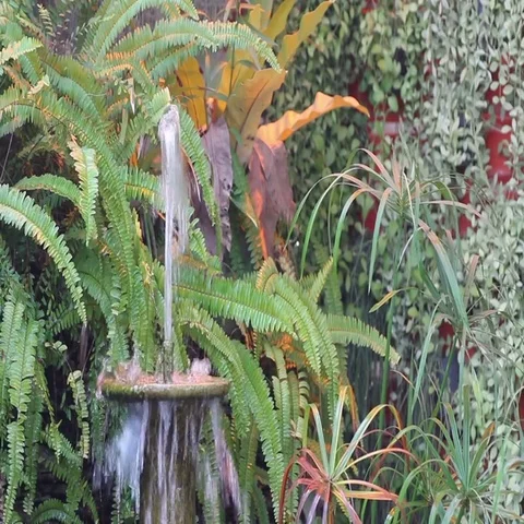 Decorative Fountains Stock Footage 69436715