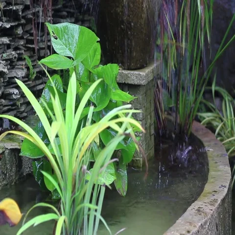 Decorative Fountains Stock Footage 69492899