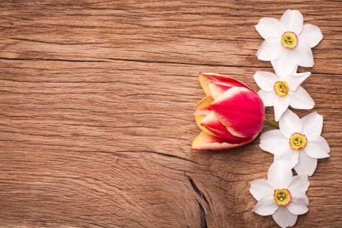 Decorative frame of dafodils 스톡 사진