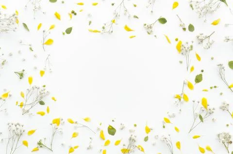 Decorative frame flowers Stock Photos