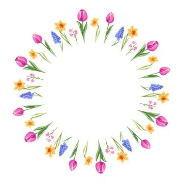 Decorative frame with flowers. Spring muscari, tulip and narcissus. イラスト素材