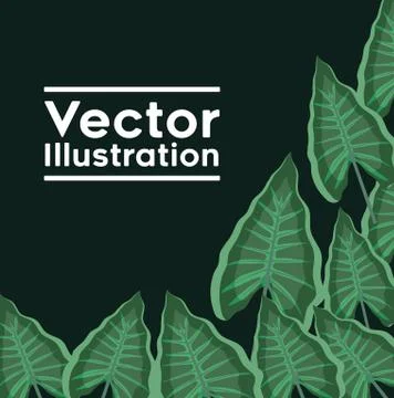 Decorative frame with leafs plants pattern Stock Illustration