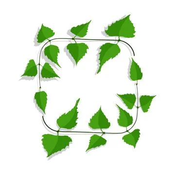 Decorative frame made of thin birch twigs and green leaves. Floral ornament.. Stock Illustration