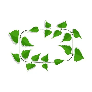 Decorative frame made of thin birch twigs and green leaves. Floral ornament.. Stock Illustration