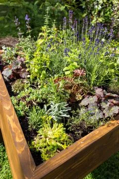 Decorative garden Stock Photos