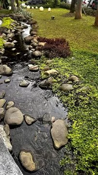 Decorative Garden Stream with Koi Foto stock