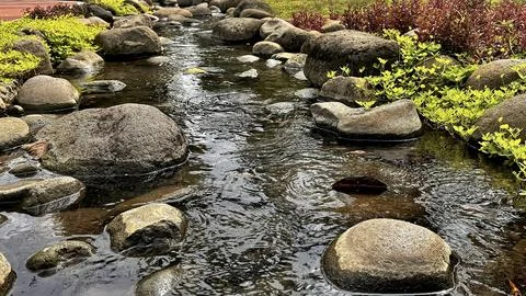 Decorative Garden Stream with Koi Foto stock