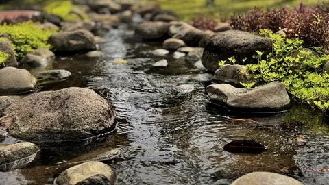 Decorative Garden Stream with Koi Foto stock
