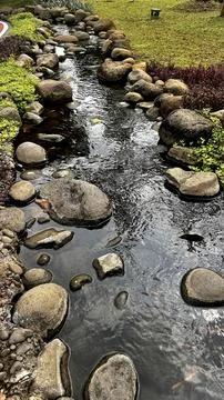 Decorative Garden Stream with Koi Foto stock