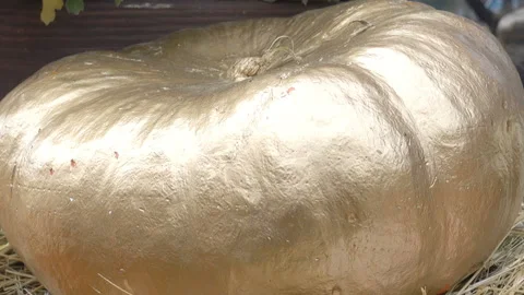 Decorative golden pumpkin Stock Footage 187547185