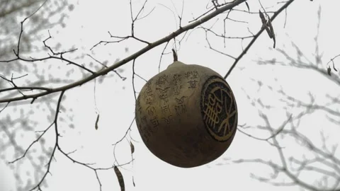 Decorative Gourd With Calligraphy Hanging on Tree Branch in 798 Art District Bei Stock Footage 341715009