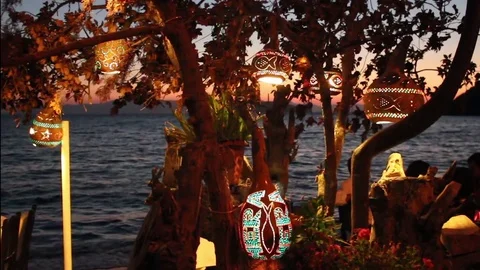 Decorative gourd hanging in trees on the beach Stock Footage 82170755