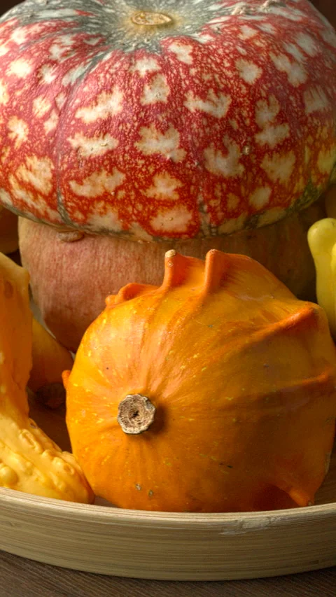 Decorative gourds on a tray. Stock Footage 296630668