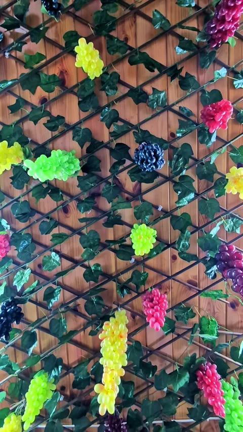 Decorative grapevine lattice wall Stock Footage 337221350