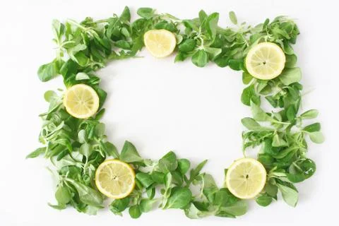 Decorative green vegetable frame composition. Various salad leaves. Arugula Stock-Fotos
