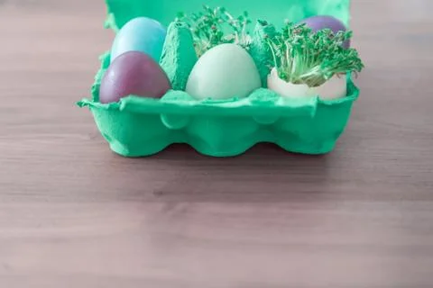 Decorative handmade easter egg present box with eggs and cress. Beautiful dec Stock Photos