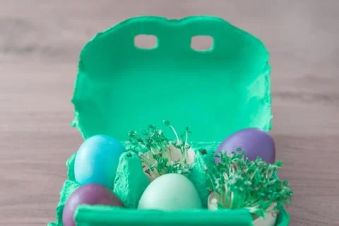 Decorative handmade easter egg present box with eggs and cress. Beautiful dec Stock Photos