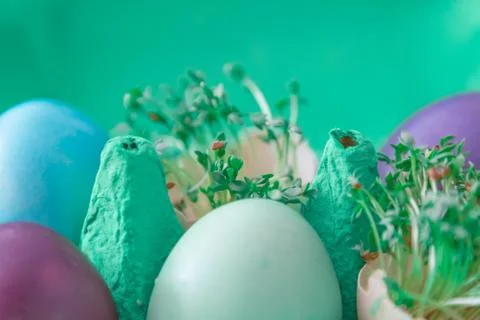 Decorative handmade easter egg present box with eggs and cress. Beautiful dec Stock Photos