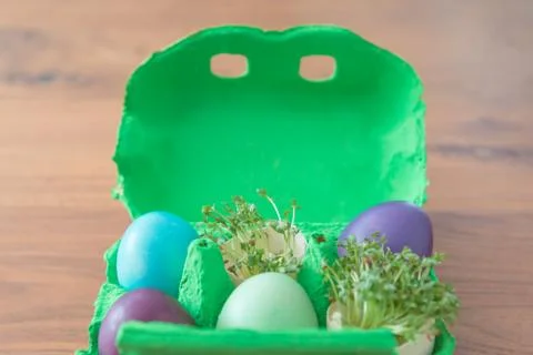Decorative handmade easter egg present box with eggs and cress. Beautiful dec Stock Photos