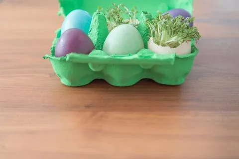 Decorative handmade easter egg present box with eggs and cress. Beautiful dec Stock Photos