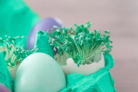 Decorative handmade easter egg present box with eggs and cress. Beautiful dec Stock Photos