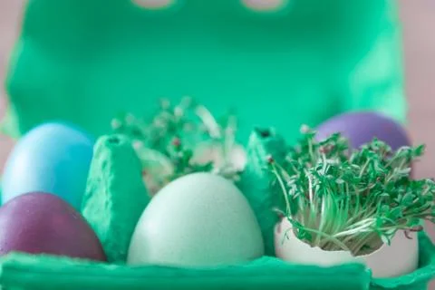 Decorative handmade easter egg present box with eggs and cress. Beautiful dec Stock Photos