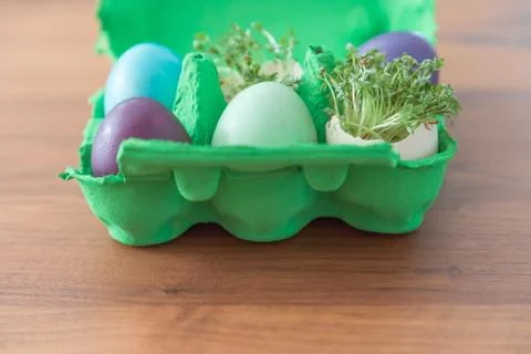 Decorative handmade easter egg present box with eggs and cress. Beautiful dec Stock Photos