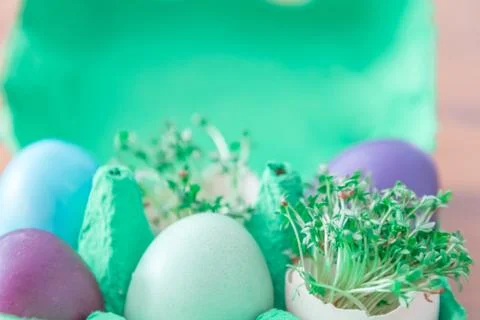 Decorative handmade easter egg present box with eggs and cress. Beautiful dec Stock Photos