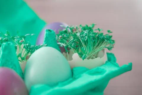 Decorative handmade easter egg present box with eggs and cress. Beautiful dec Stock Photos