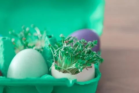 Decorative handmade easter egg present box with eggs and cress. Beautiful dec Stock Photos
