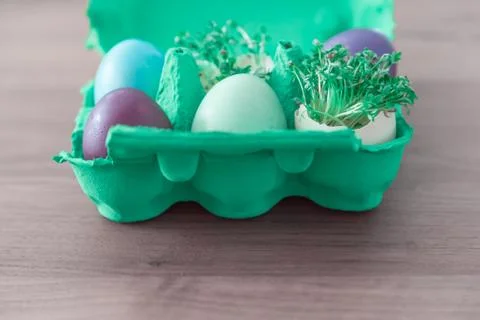 Decorative handmade easter egg present box with eggs and cress. Beautiful dec Stock Photos
