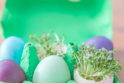Decorative handmade easter egg present box with eggs and cress. Beautiful dec Foto stock