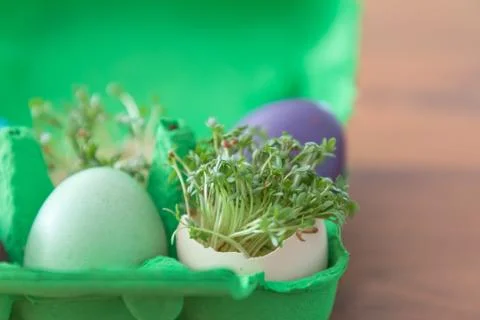 Decorative handmade easter egg present box with eggs and cress. Beautiful dec Stock Photos