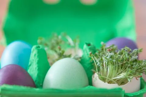 Decorative handmade easter egg present box with eggs and cress. Beautiful dec Stock Photos