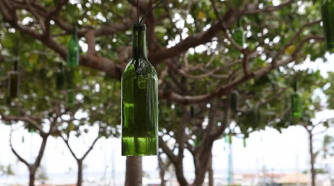 Decorative hanging bottle tree garden Stock-Footage 40492119