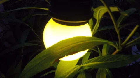 Decorative hanging light bulb for any shiny concepts. Stock Footage 120053351