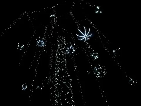 Decorative hanging light bulbs in dark night for any concepts Stock Footage 129305744