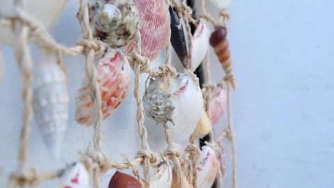 Decorative hanging made of seashells. Creative art against old wall. Concept of Stock Footage 309453696