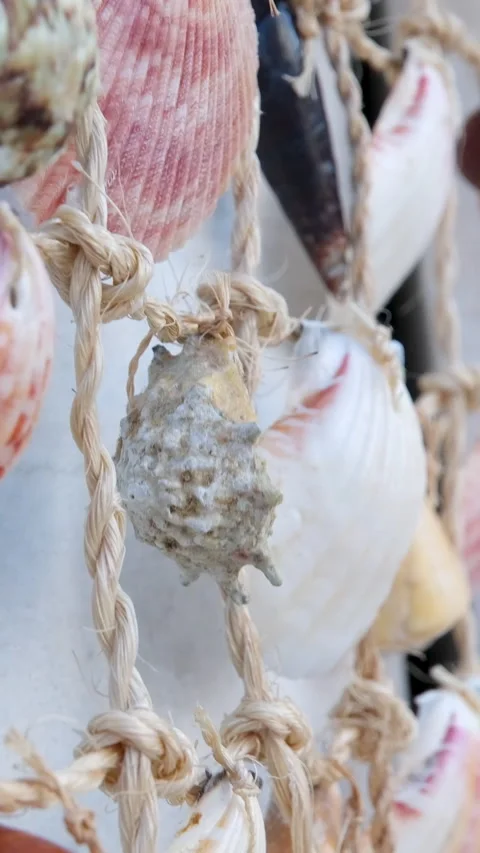 Decorative hanging made of seashells. Creative art against old wall. Concept of Stock Footage 311860725