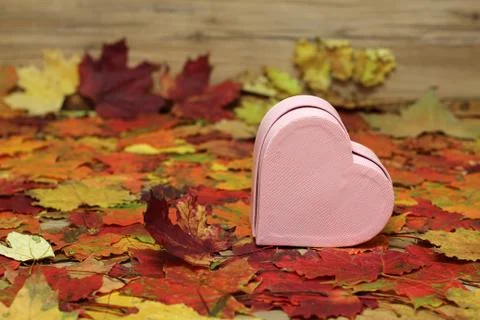 Decorative heart Stock Photos