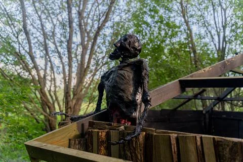 Decorative human corpse. The body is attached to a wooden structure in nature Stock Photos