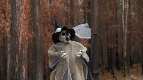 Decorative human skeleton,ghost in rags and hat in natural autumn forest.closeup Stock Footage 211228601